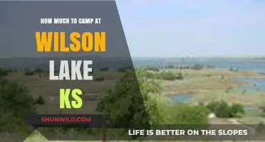 Camping at Wilson Lake KS: Costs and Budget-Friendly Tips
