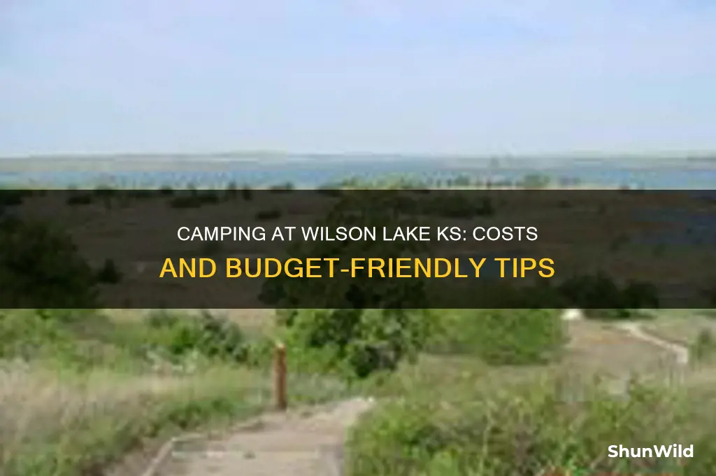 how much to camp at wilson lake ks