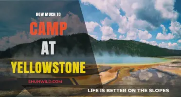 Camping at Yellowstone: Costs, Tips, and Budget-Friendly Options