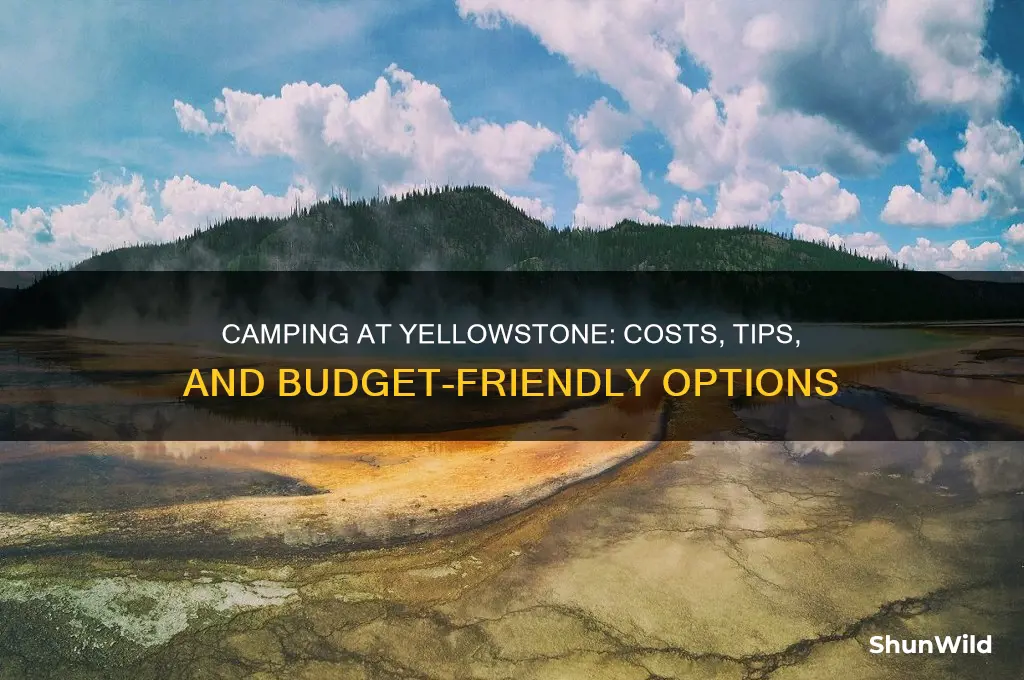 how much to camp at yellowstone