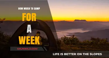 Budget-Friendly Camping: Weekly Costs and Money-Saving Tips for Outdoor Adventures