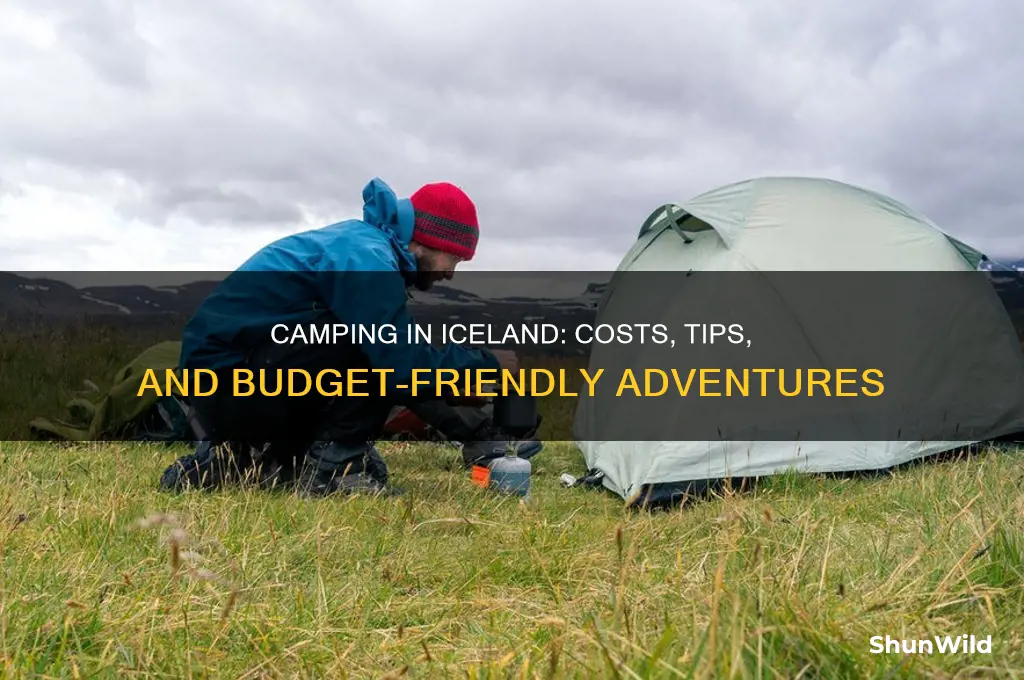 how much to camp in iceland