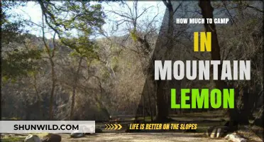 Camping in Mount Lemmon: Costs, Tips, and Budget-Friendly Ideas