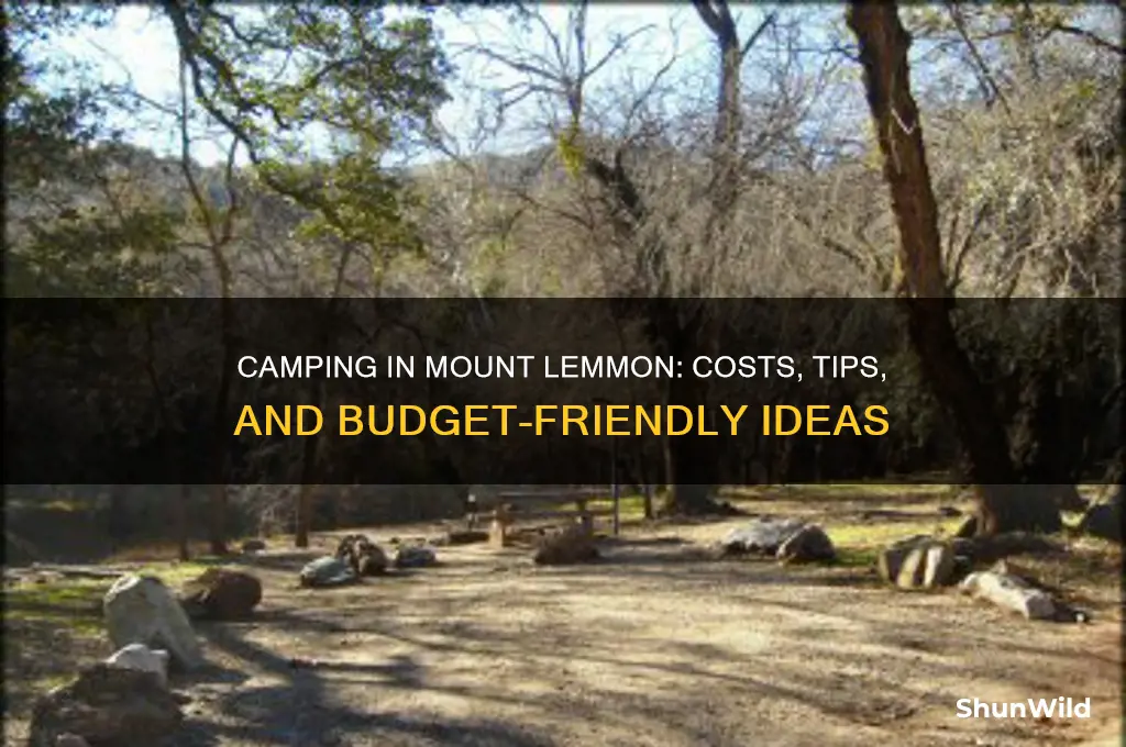 how much to camp in mountain lemon