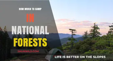Camping in National Forests: Cost Guide for Outdoor Adventures
