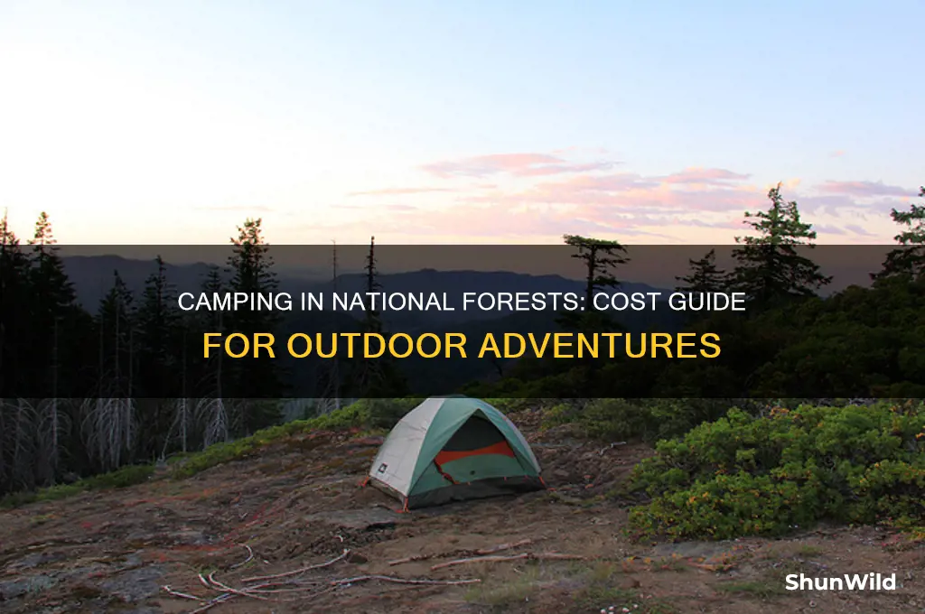 how much to camp in national forests