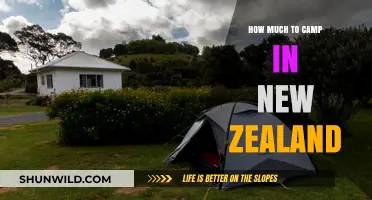 Camping in New Zealand: Costs, Tips, and Budget-Friendly Adventures