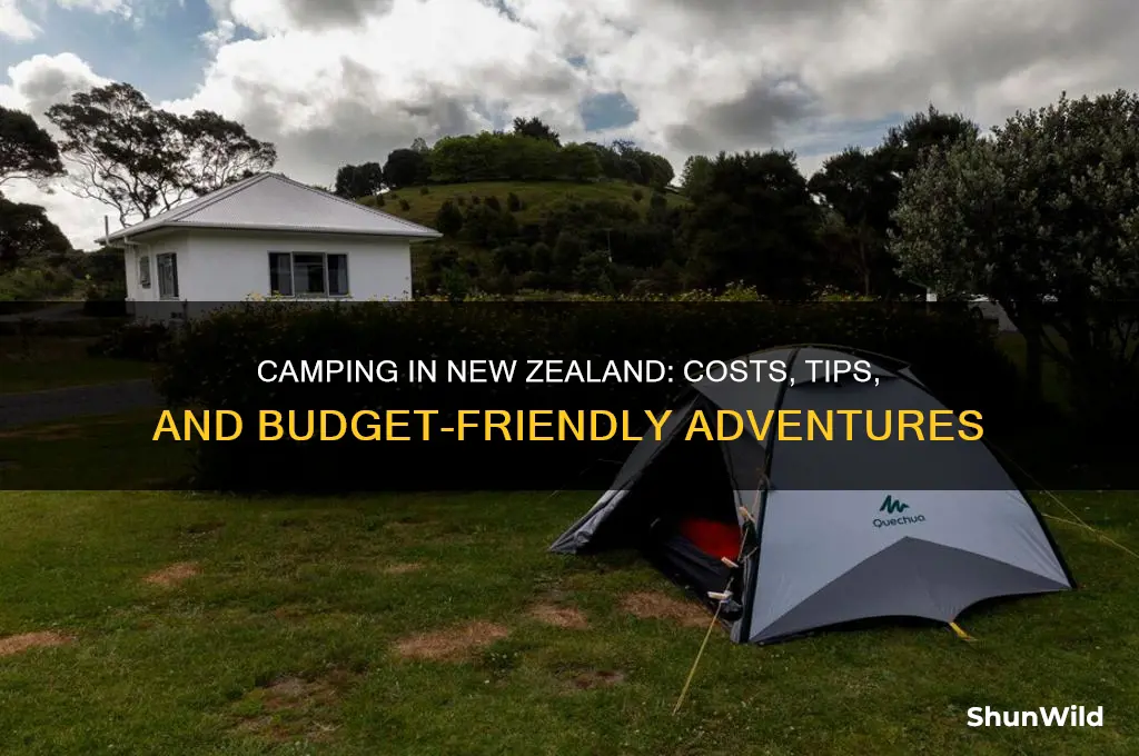 how much to camp in new zealand