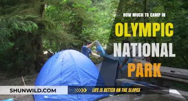Camping in Olympic National Park: Costs and Budget Tips