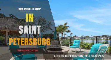 Affordable Camping Options in Saint Petersburg: A Budget-Friendly Guide