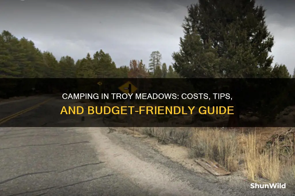 how much to camp in troy meadows