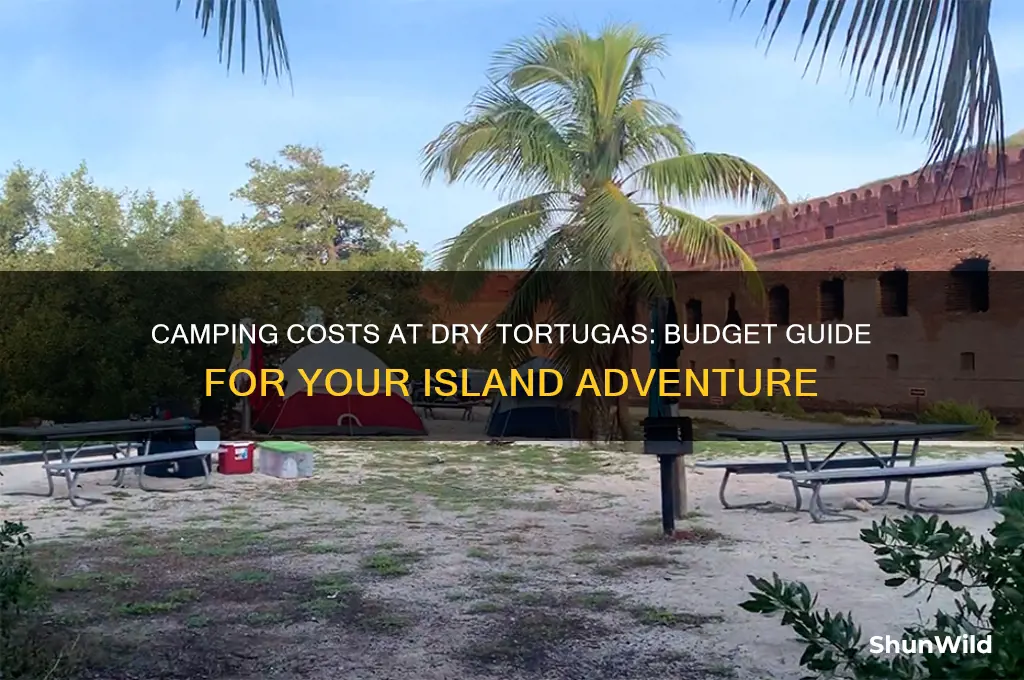 how much to camp on dry tortugas