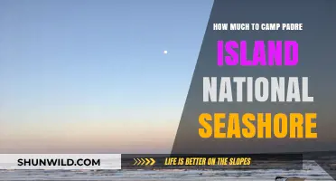 Camping Padre Island National Seashore: Costs and Budget Tips