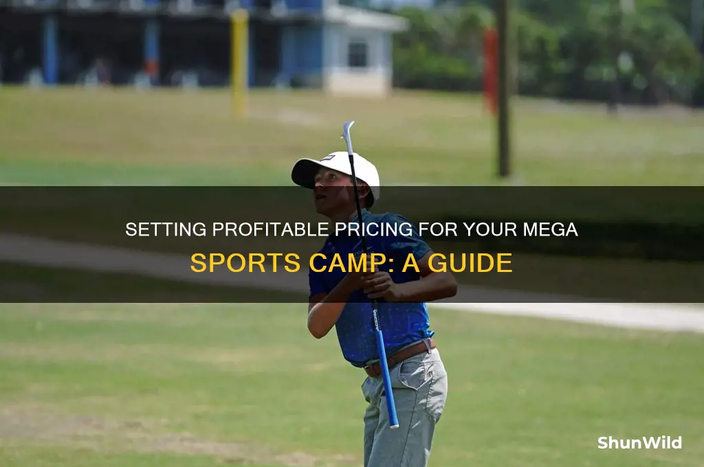 how much to charge for mega sports camp