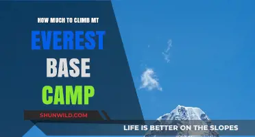 Climbing Everest Base Camp: Costs, Preparation, and Adventure Essentials