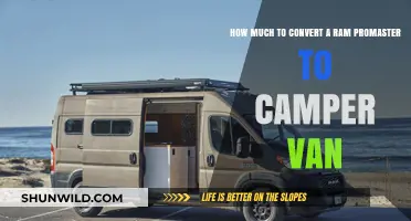 Cost Guide: Converting a Ram Promaster into a Camper Van