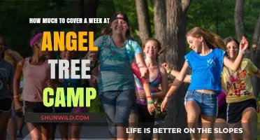 Angel Tree Camp Weekly Costs: Budgeting for a Week of Adventure