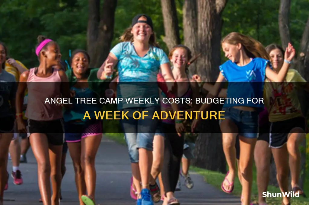 how much to cover a week at angel tree camp