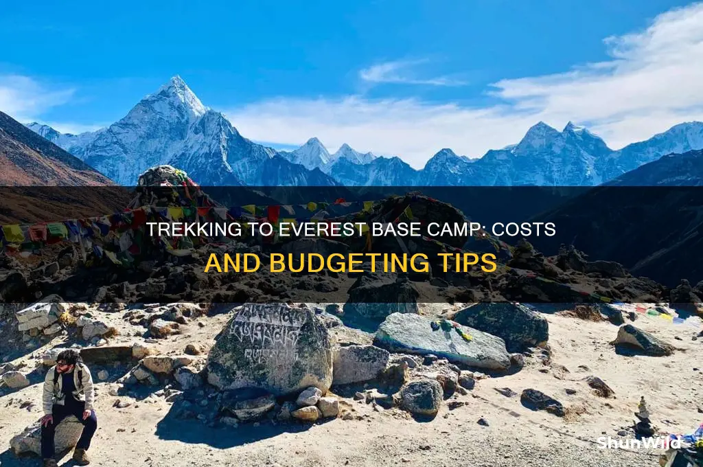 how much to get to base camp