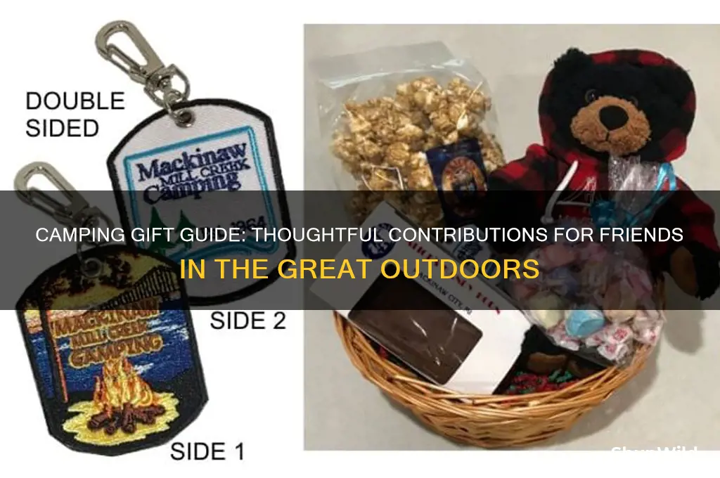 how much to give friends for camping