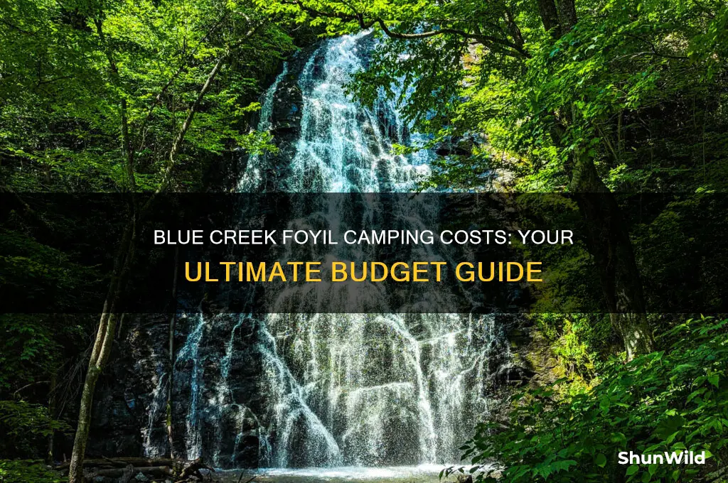 how much to go camping at blue creek foyil