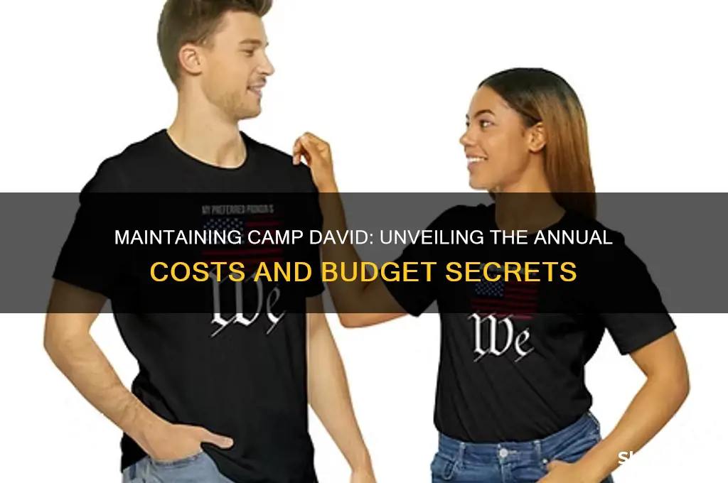 how much to maintain camp david