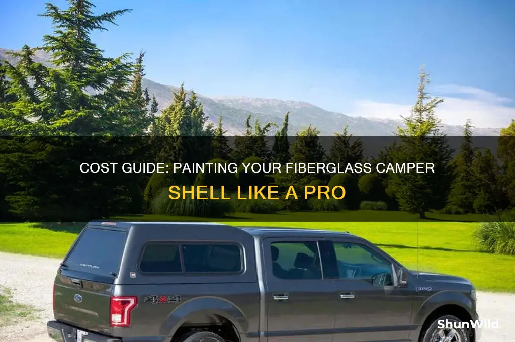 how much to paint a fiberglass camper shell