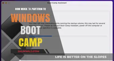 Optimal Partition Size for Windows Boot Camp on Your Mac