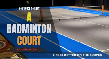 Renting a Badminton Court: How Much Does it Cost?