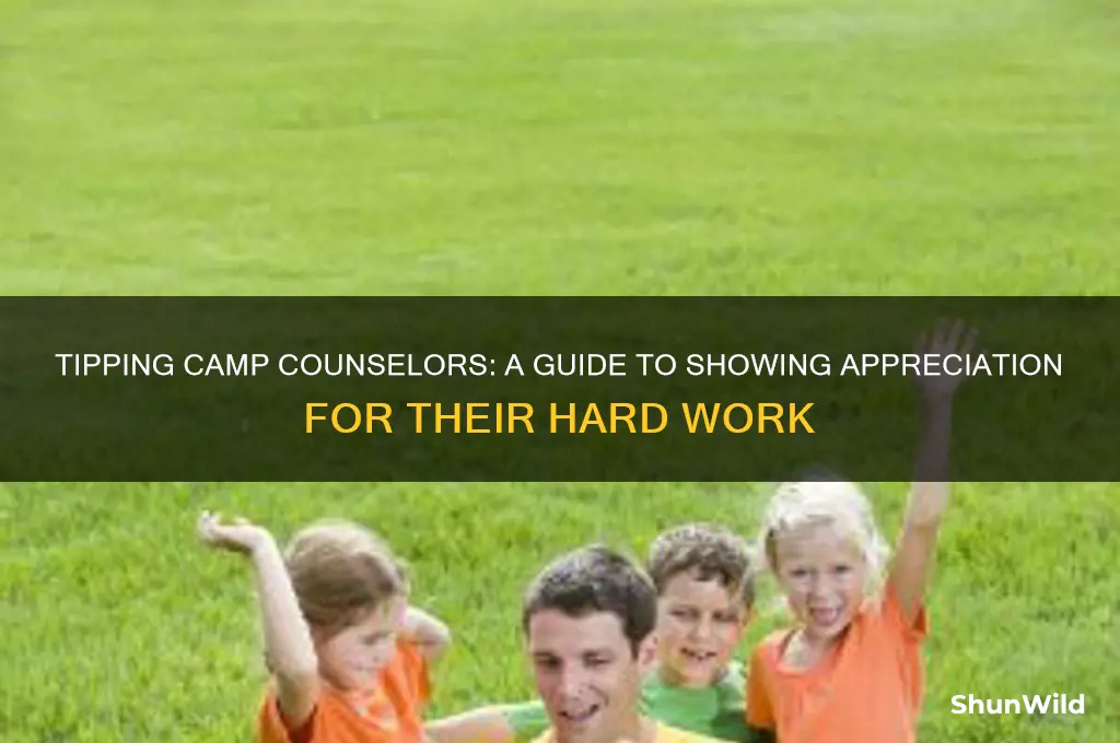 how much to tip camp counselors