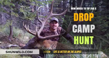 Tipping Guide for Drop Camp Hunts: Etiquette and Amounts Explained