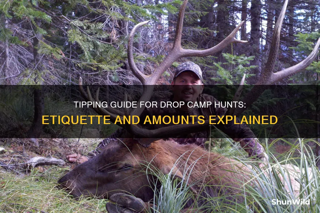 how much to tip for a drop camp hunt