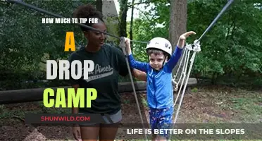 Tipping Guide for Drop Camp Services: How Much is Appropriate?