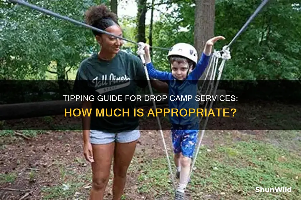 how much to tip for a drop camp