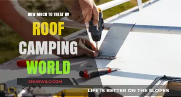 RV Roof Repair Costs at Camping World: What to Expect
