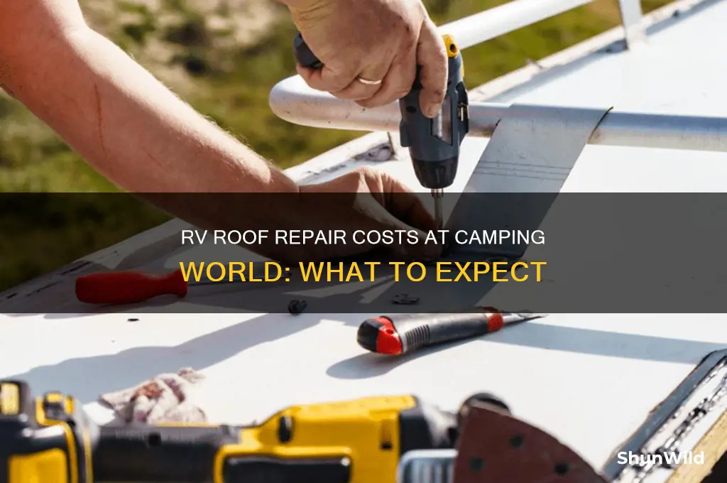 how much to treat rv roof camping world
