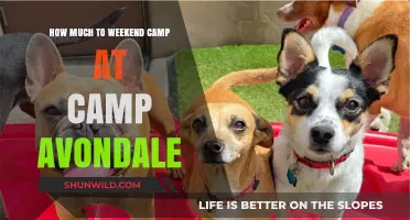 Weekend Camping at Camp Avondale: Costs and Budget-Friendly Tips