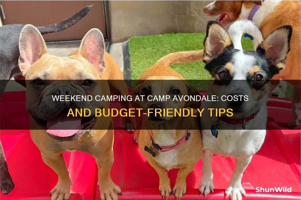how much to weekend camp at camp avondale