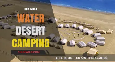 Essential Water Tips for Safe and Hydrated Desert Camping Adventures