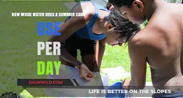 Summer Camp Water Usage: Daily Consumption Insights and Conservation Tips
