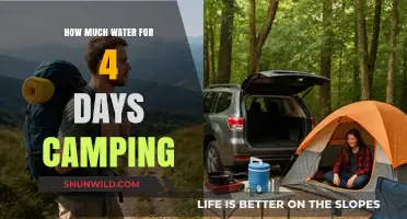 Essential Camping Hydration Guide: Water Planning for a 4-Day Adventure