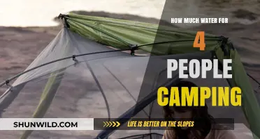 Essential Camping Hydration Guide: Water Needs for 4 People Outdoors