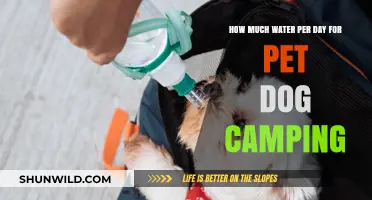 Essential Dog Hydration Tips for Camping Adventures with Your Pet
