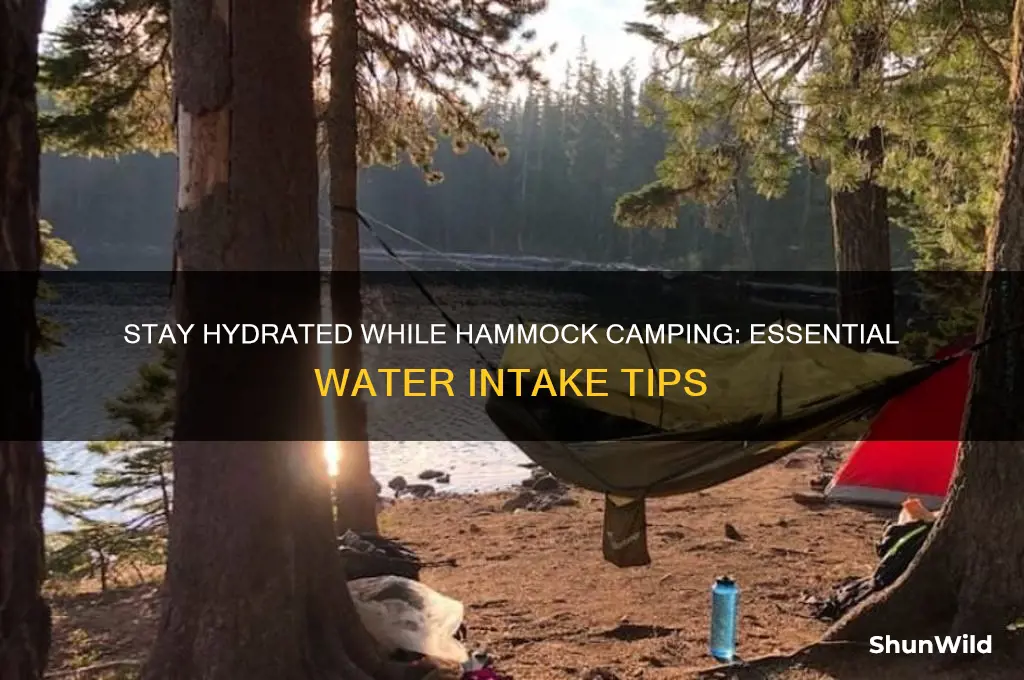 how much water should i drink hammock camping