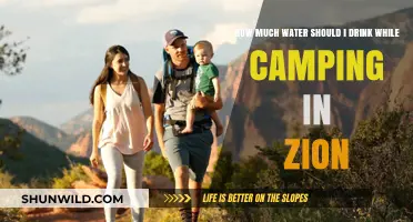 Stay Hydrated in Zion: Essential Camping Water Intake Guide