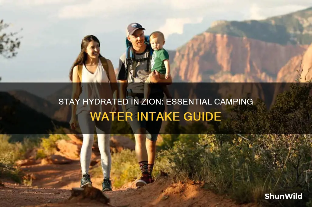 how much water should i drink while camping in zion