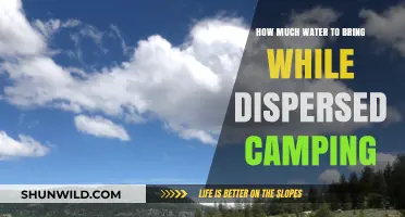 Essential Water Packing Tips for Safe Dispersed Camping Adventures