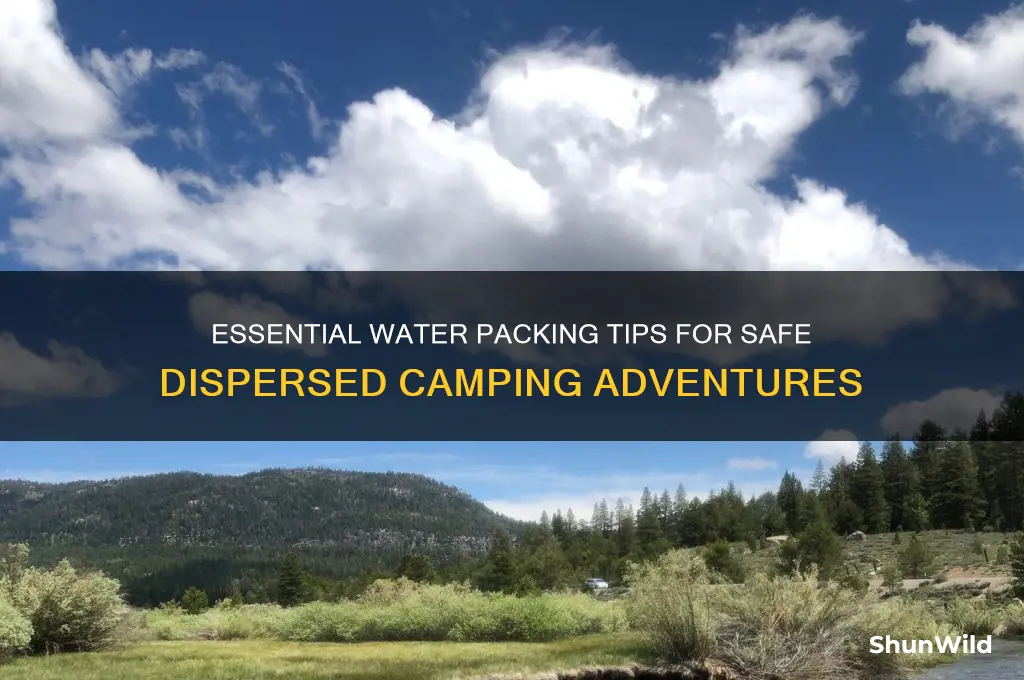 how much water to bring while dispersed camping