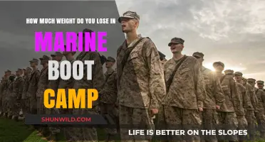 Shedding Pounds in Marine Boot Camp: What to Expect