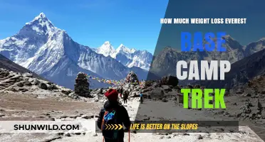 Shedding Pounds on the Everest Base Camp Trek: Weight Loss Insights